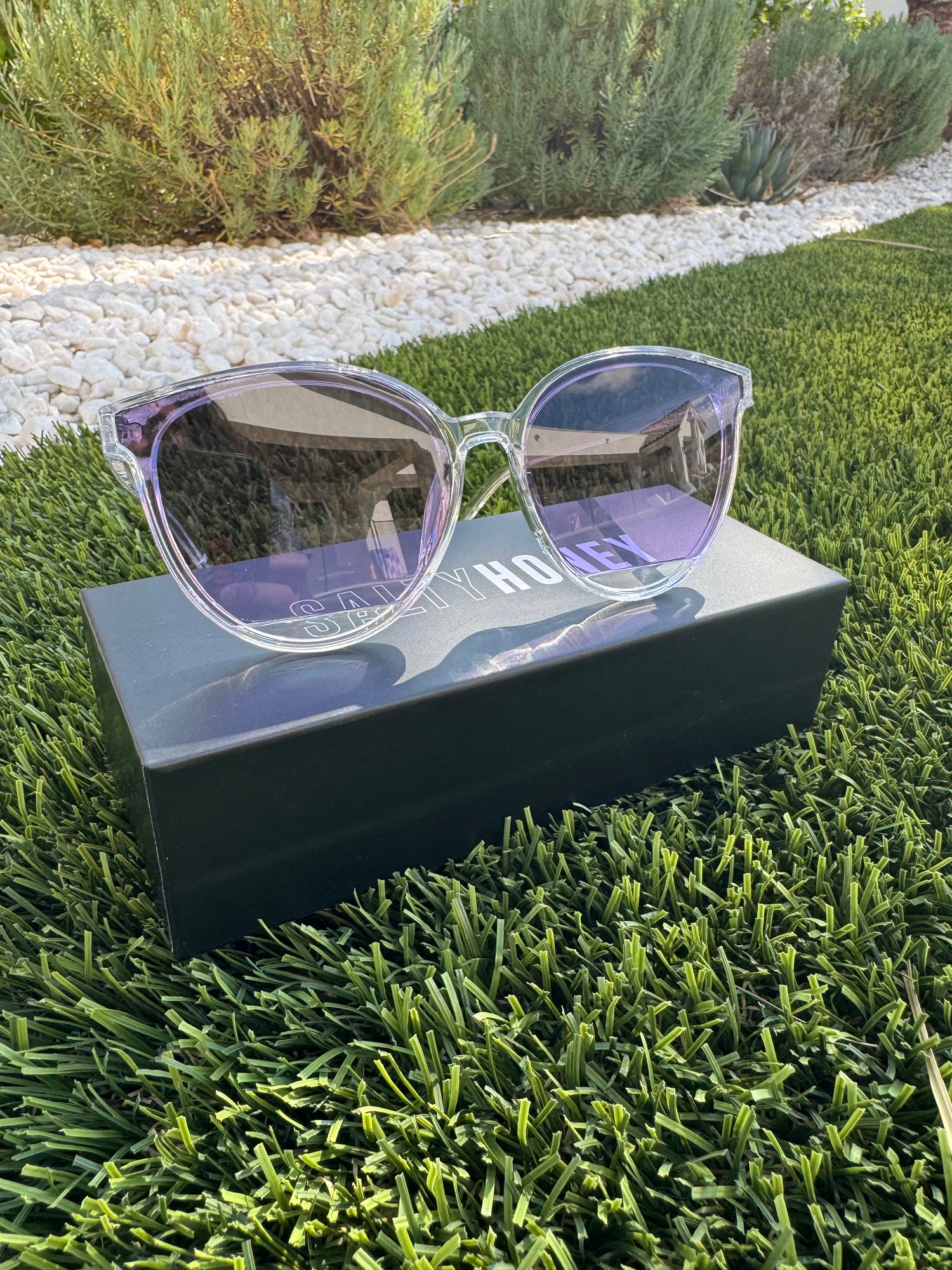 SUNNIES: PURPLE HAZE